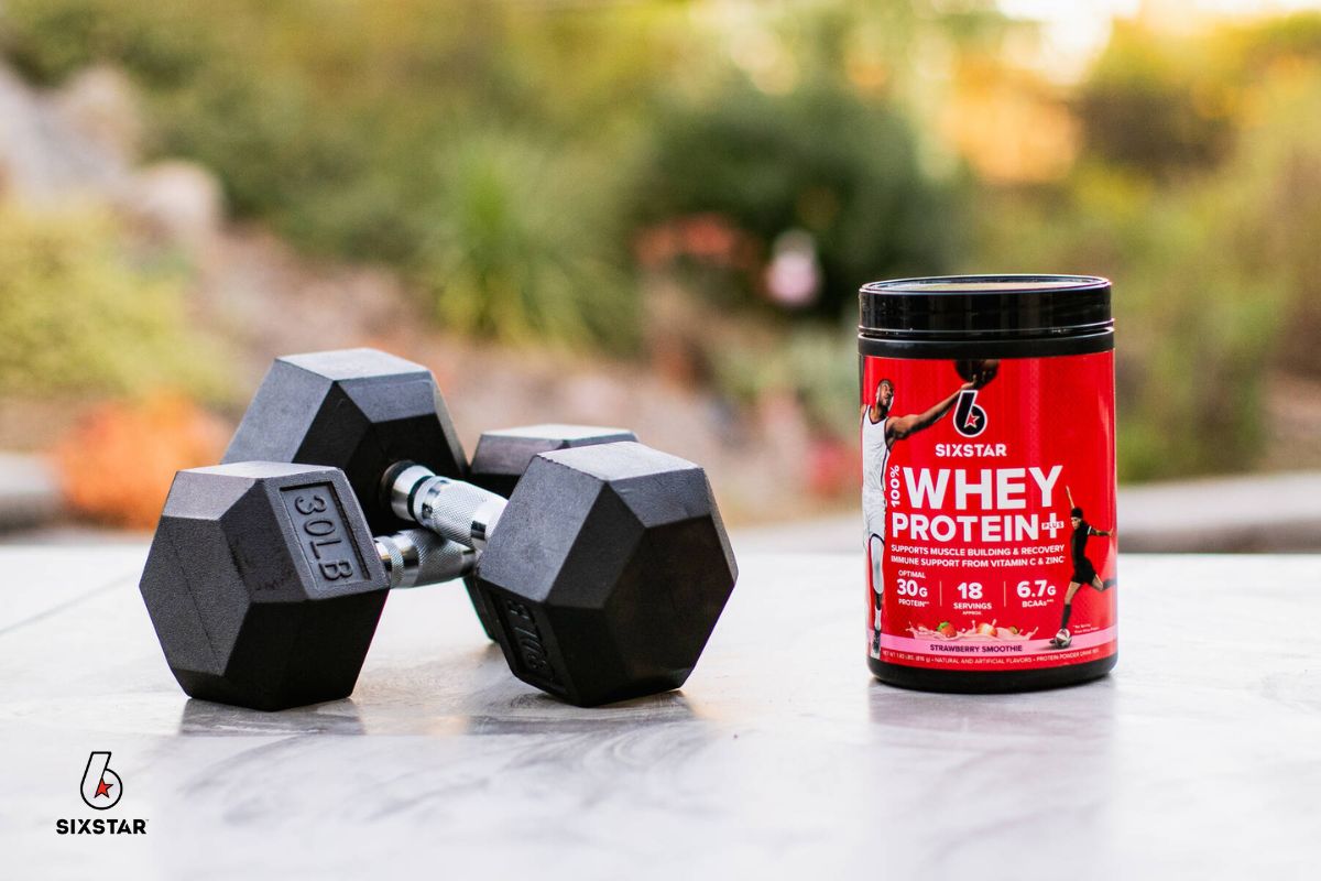 Whey Protein vs. Plant Protein